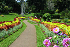 Royal Botanical Gardens